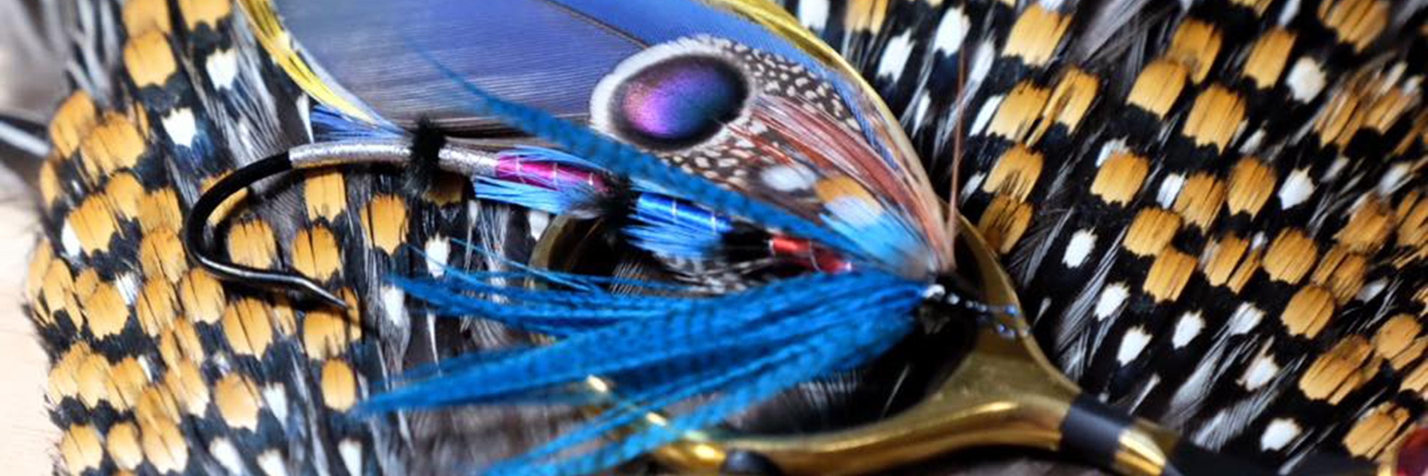 Pheasant & Partridge Feathers