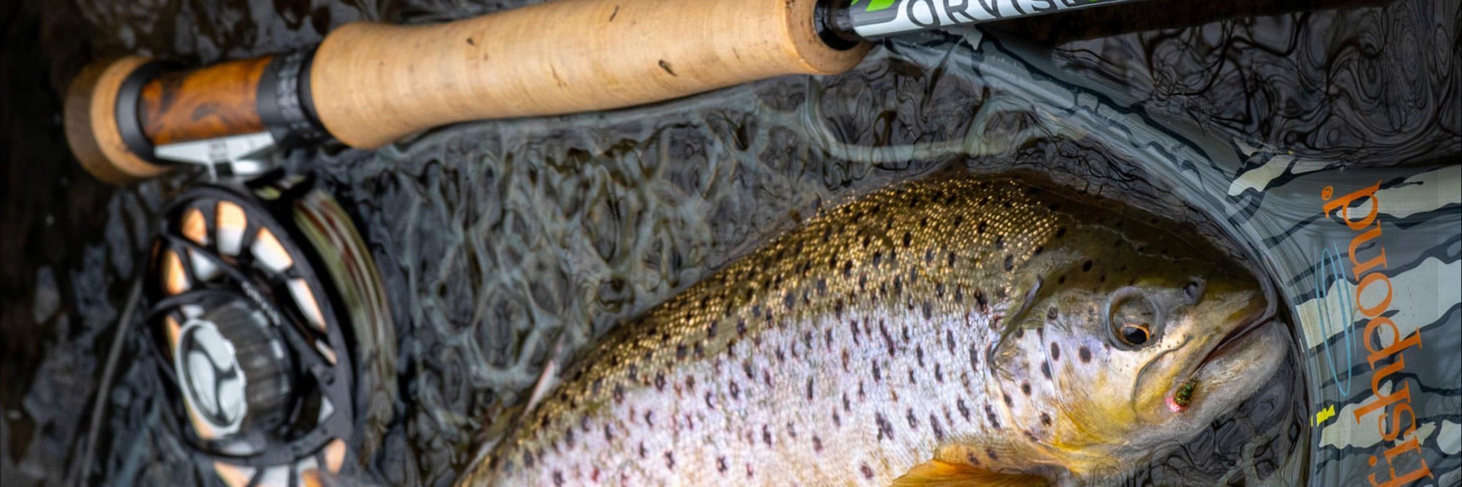 Euro Nymph Collection